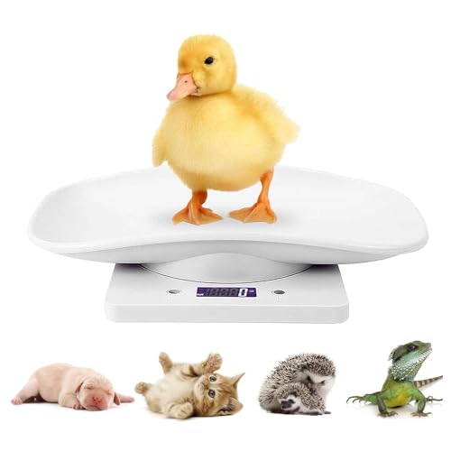 15kg Pèse-personne numérique Pèse-animaux avec écran LCD, 4 modes de pondération pour animaux de compagnie et cuisine pour mesurer les petits chats, les chiens, la nourriture, capacité jusqu’à 15 kg