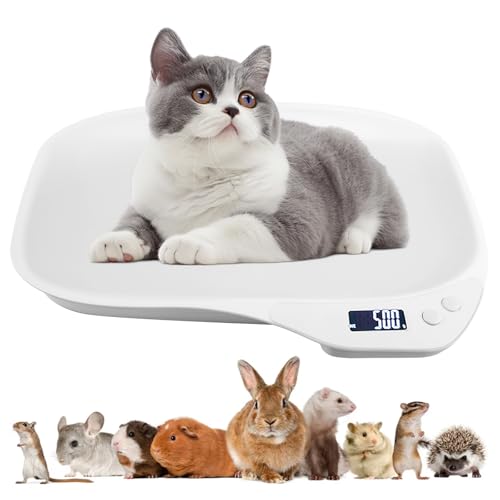 Balance Pour Animaux, 15 Kg (± 1 G) Balance Numérique Pour Animaux, Pèse-Personne Numérique, Mini Balance Numériques, Balance Pour Chat, Balance Pour Chien, Pour Chaton, Chiot, Hamster